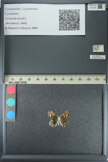 Media type: image;   Entomology 183585